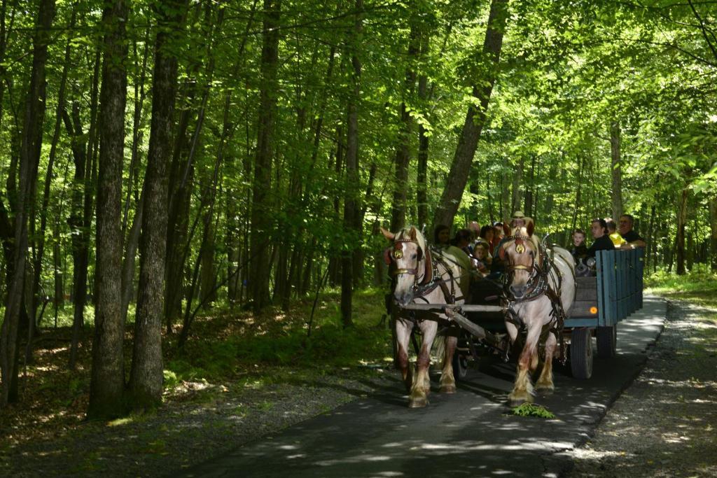 Woodloch Pines 4*
