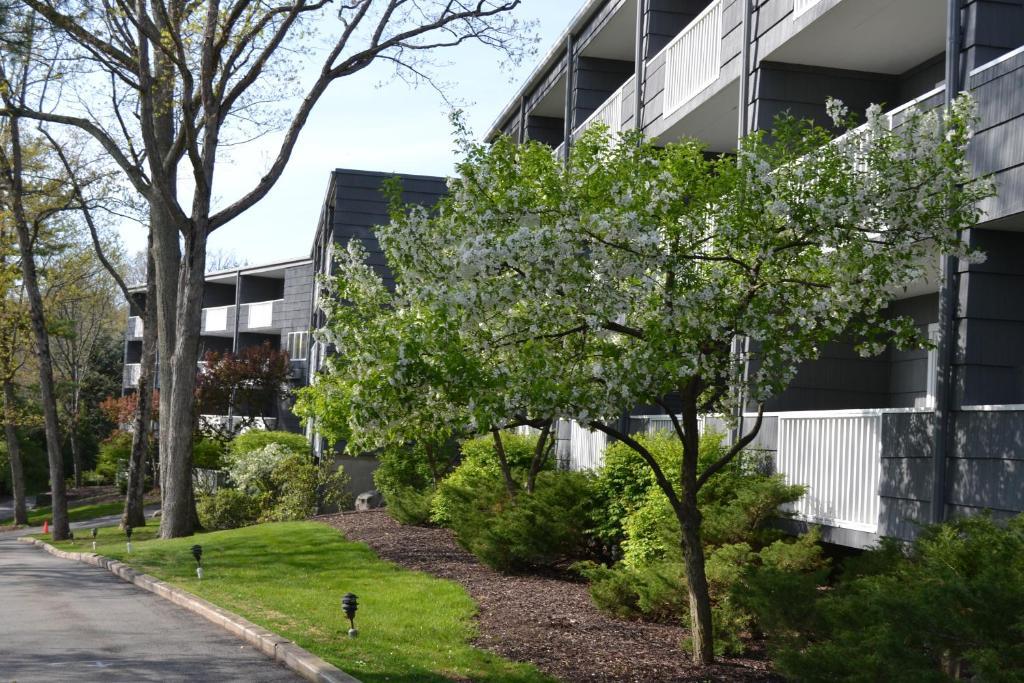 Resort Woodloch Pines